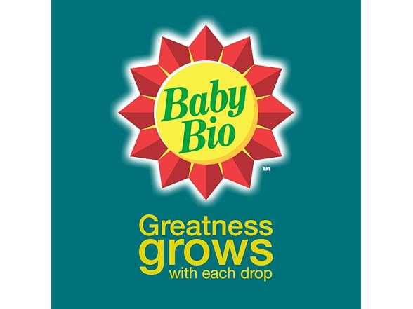 Baby Bio Orchid Food Concentrate, 3 Pack