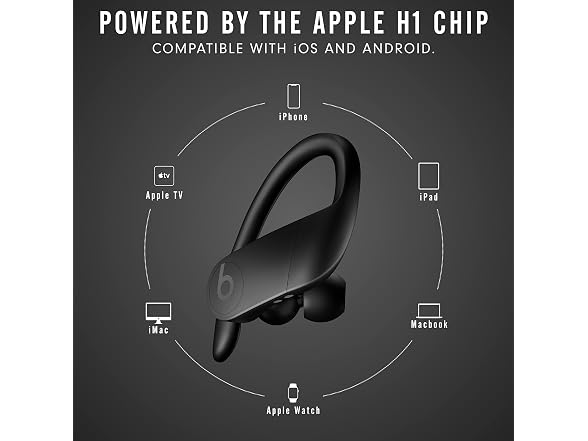 Beats Beats Powerbeats Pro Wireless Earbuds -