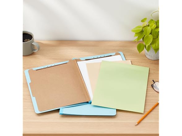 Amazon Basics Amazon Basics Classification Folder