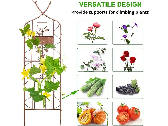 LZRS 2Pk 59.5*18in Rustic Garden Trellis