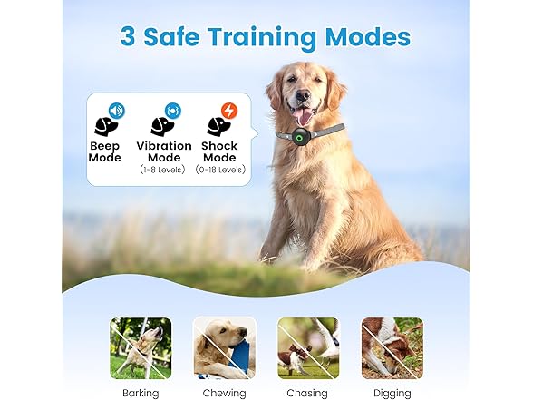 RUNLANE Dog Shock Collar