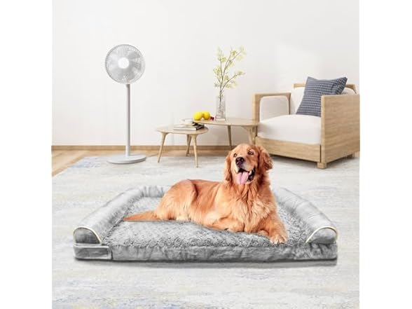 Orthopedic Dog Bed, Extra Large with Memory Foam