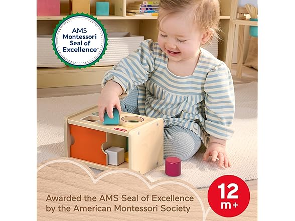 Wood Montessori Toy Object Permanence Box Sort & Find