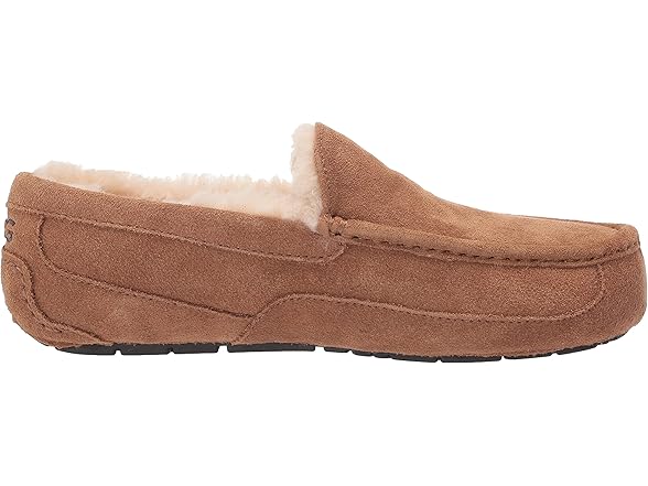 Ugg Men's Ascot Slippers