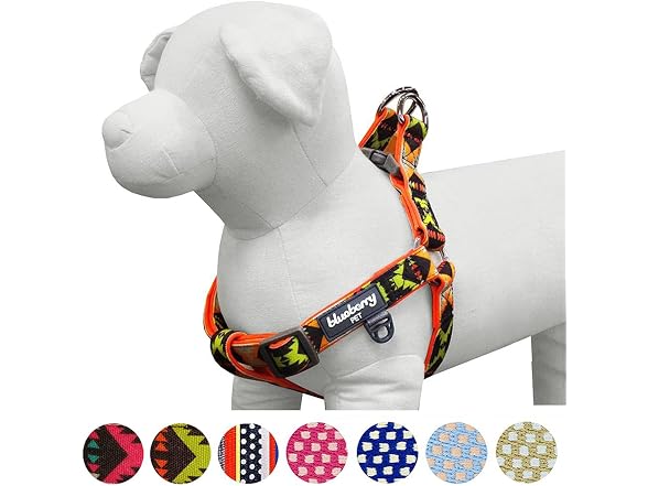 Blueberry Pet 2 Clr Soft & Comfy Step-in Sou