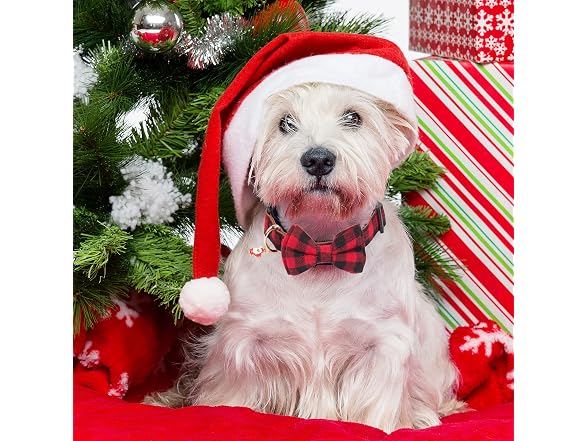 ADOGGYGO Christmas Dog Collar with Bow