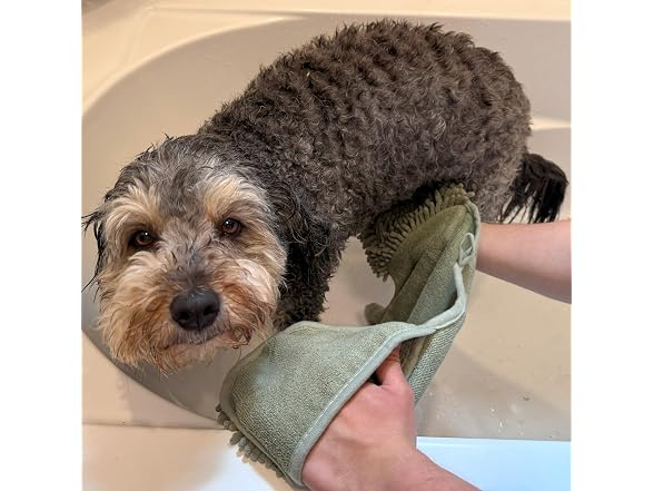 SPOT Clean Paws Chenille Microfiber Dog Towel