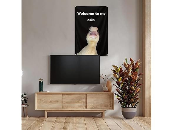 Generic Welcome to My Crib Flag