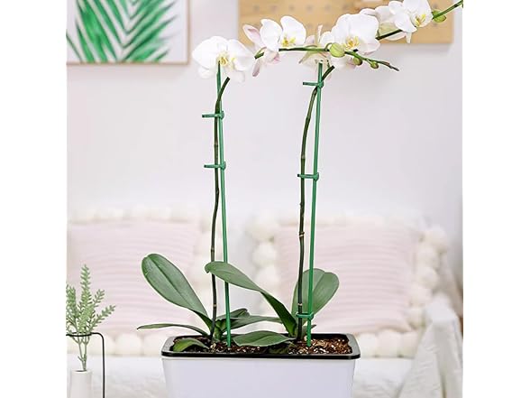 GXXMEI 18PCS 12 Inch Plant Support Stake