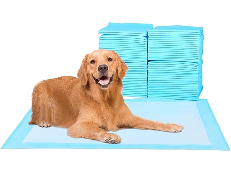 Super Absorbent Waterproof Dog and Puppy Pet Training Pad, Housebreaking Pet Pad, 40-Count Extra Middle-Size, 30’’X36’’, Blue
