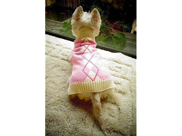 Alemon Argyle Knit Dog Sweater