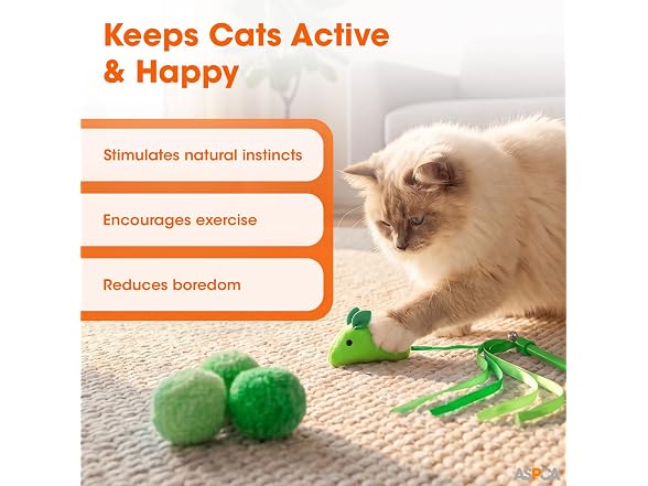 ASPCA 15-Piece Cat Toy Variety Pack, Green