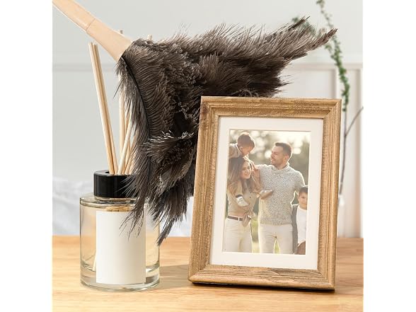 Superio Ostrich Feather Duster Fluffy Dust Remover