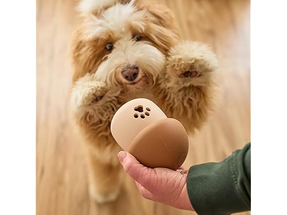 SPOT Treat Tumbler Mushroom – Freezable & Fillable