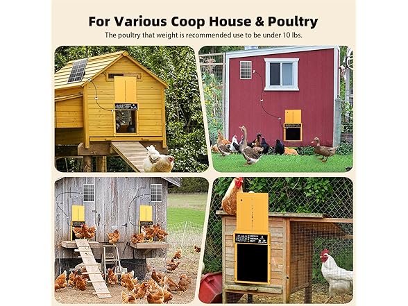 Automatic Chicken Coop Door