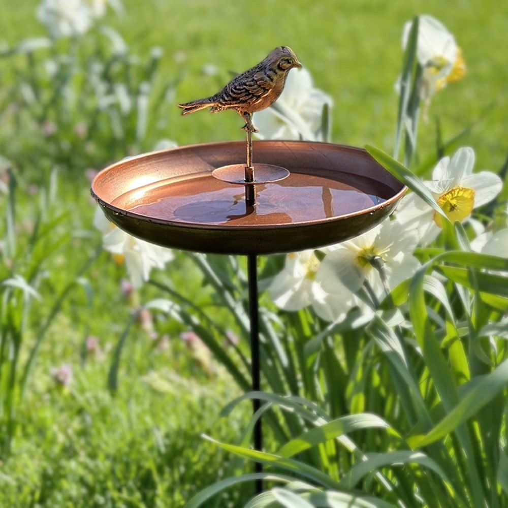 Bird Bath & Birdhouse - Combo Pack - Gallery 11