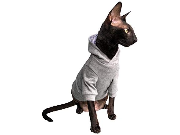 Sphynx Cat's Hoodie Ingrey Naked Cat Hairles