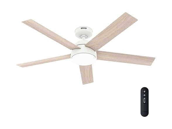 Hunter Fan 52 Inch White Indoor/Outdoor Ceiling fan