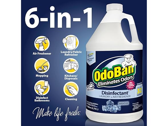 OdoBan Disinfectant Concentrate Night Ice 1gal