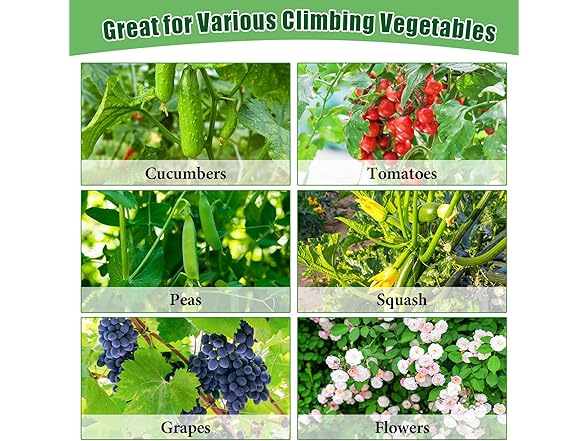 POILKMNI Climbing Plants Trellis for Raised Bed