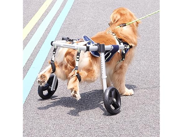 VEVOR 2 Wheels Dog Wheelchair for Back Legs