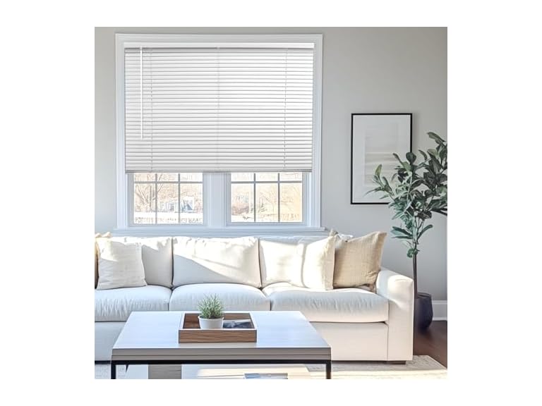 CHICOLOGY Blinds for Windows, Mini Blinds