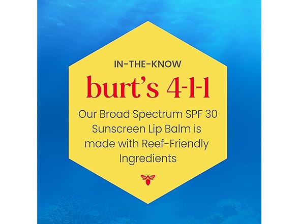 Burts Bees Beaches And Cream Lip Balm