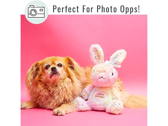 Pet London Happy Birthday Bunny Squeaky Dog