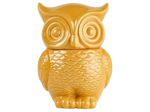 Elements 6.22x5.67x8.7 Inch Tan Ceramic Owl Cookie Jar