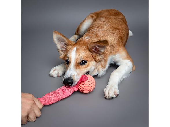 NOAH & PAW Luxury Dog Toy, TPU- Sling, Pink