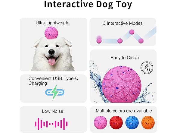 Interactive Dog Toys