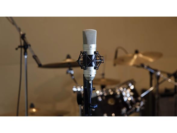  Tascam TM-80 Large Diaphagm Condenser