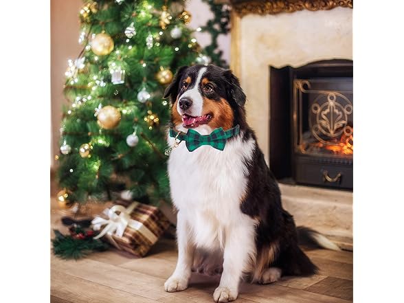 ADOGGYGO Christmas Dog Collar with Bow