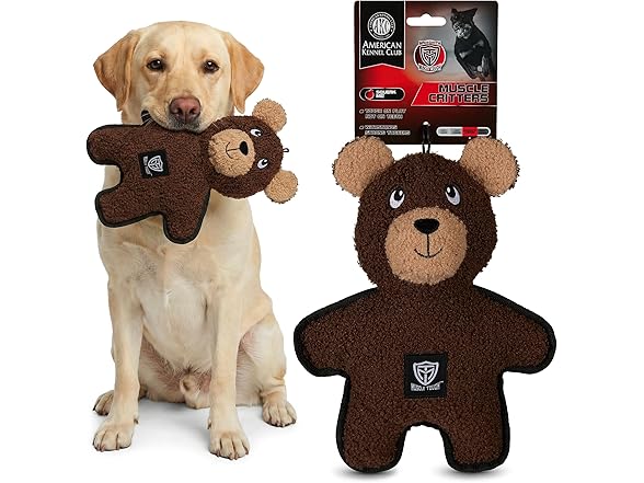 American Kennel Club Plush Dog Toy with Squeaker- Bear