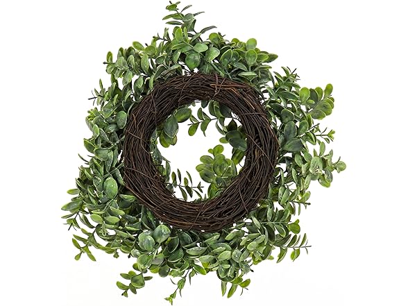 National Tree Company 16" Fern Wreath