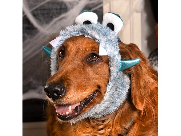 Furhaven Large to XL Dog Hat,
