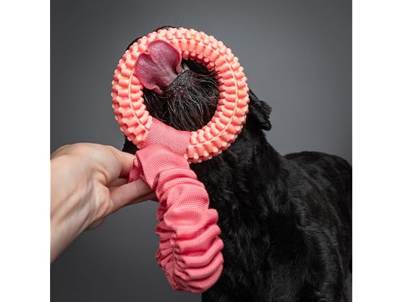 NOAH & PAW Luxury Dog Toy, TPU- Tug Ring, Pink