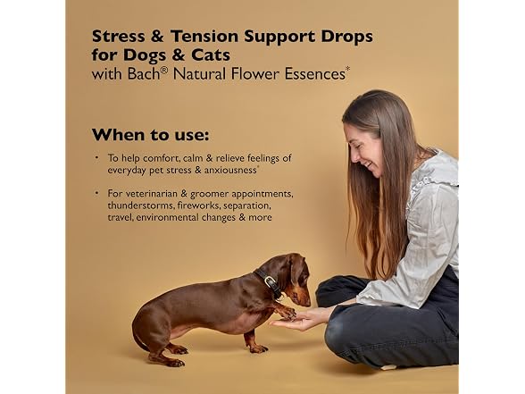 Rescue Remedy Pet Dropper - 20mL - Stres