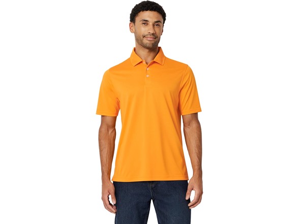 Apricot Orange