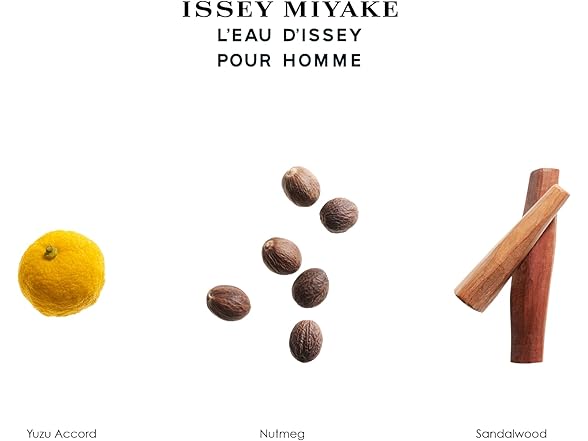Issey Miyake L'Eau d'Issey Pour Homme After-Shave 3.3 oz.
