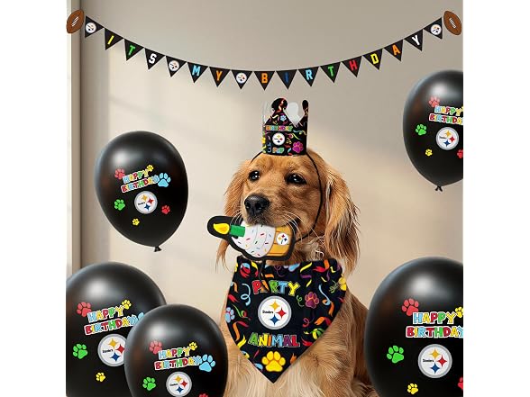 NFL Pittsburgh Steelers Pet Birthday Crown - Gallery 3