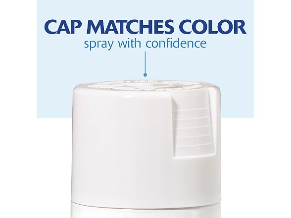 Rust-Oleum 249060 Painter's Touch 2X