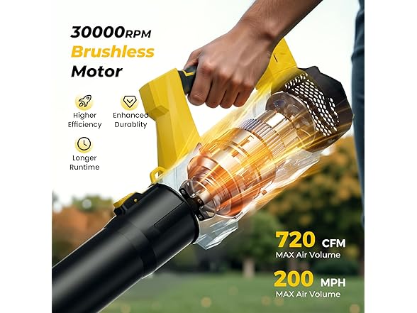 LUCKYTECH BC2258926011008 leaf blower