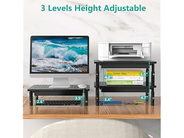 WALI Computer Monitor Stand with Storage