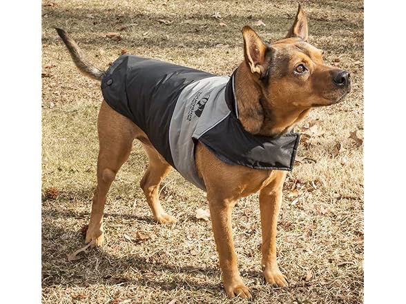 Pet Life ® Lightening Dog Sweater Coat