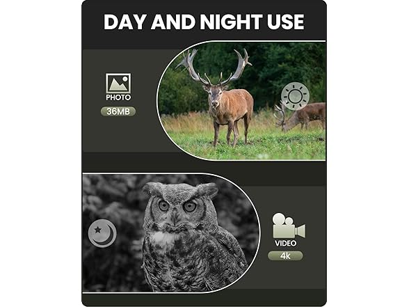 BUSHBINOC 4K Night Vision Binoculars