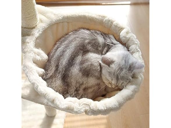GoofyPet 54.3in Cat Tree for Indoor Cats