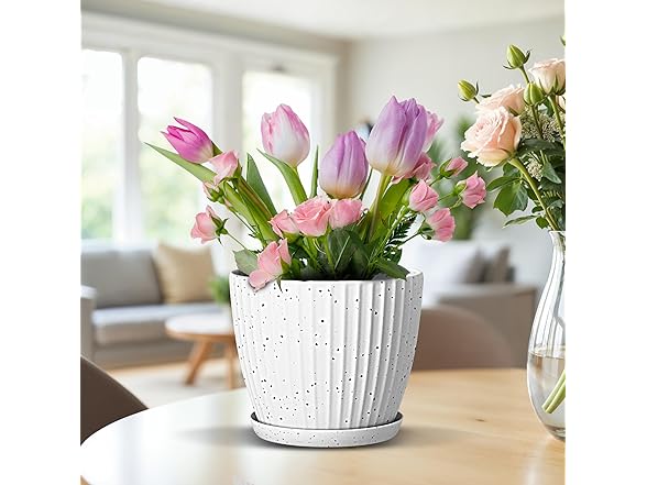 6" Plant Pots w/ Saucers 24pk