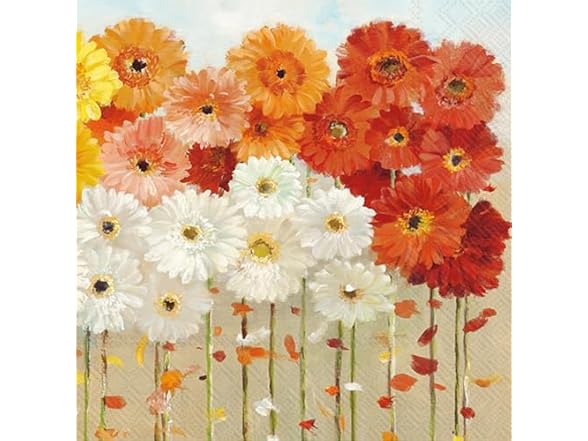 IHR 3-Ply Paper Napkin Pack, Daisies Fall, 20-Count