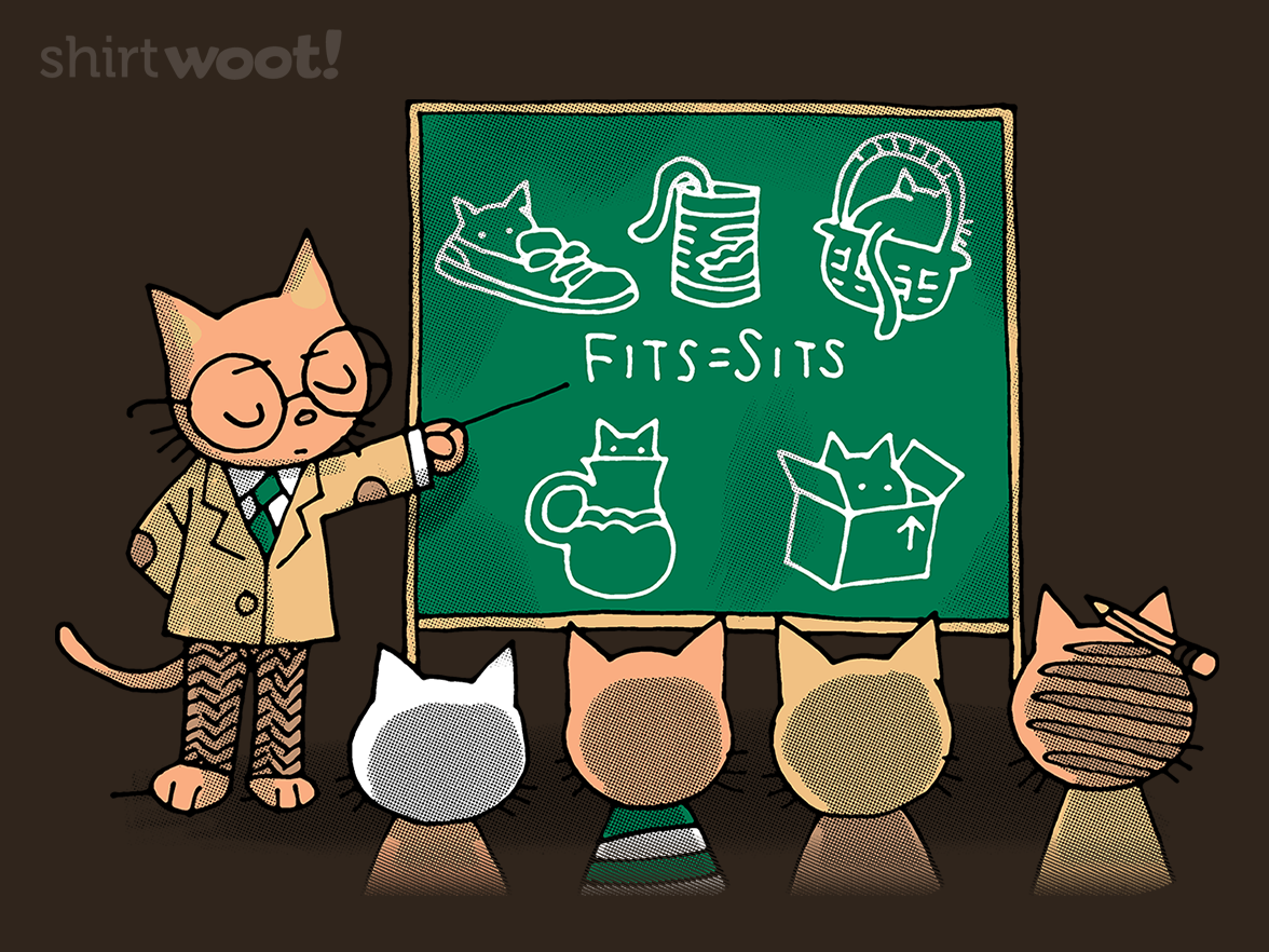 Cat Basics - Gallery 4